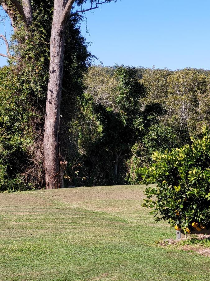 Jabiru Motel Nambucca Heads Extérieur photo