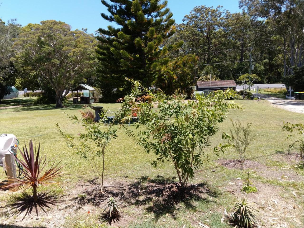 Jabiru Motel Nambucca Heads Extérieur photo